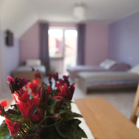 Apartamento Terra Pruszcz Gdański