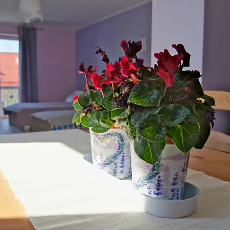 Terra * פרוז'ץ' גאנסקי