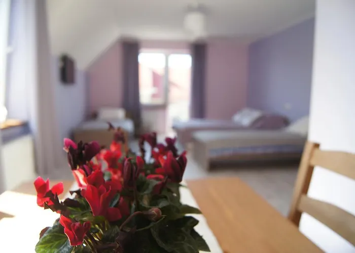 شقة Terra بروشت غداينسكي