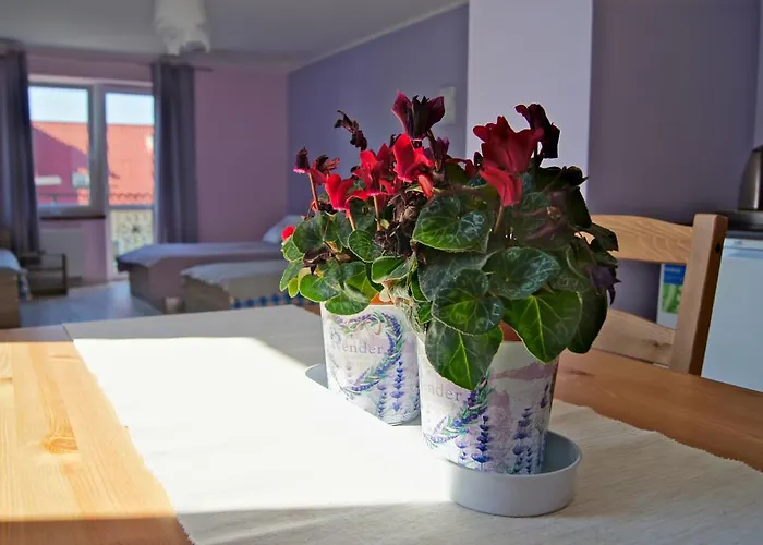 Terra * Pruszcz Gdański